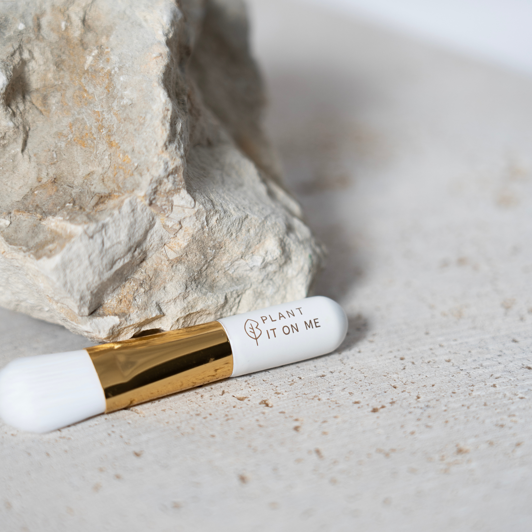 Mini Face Mask Brush applicator