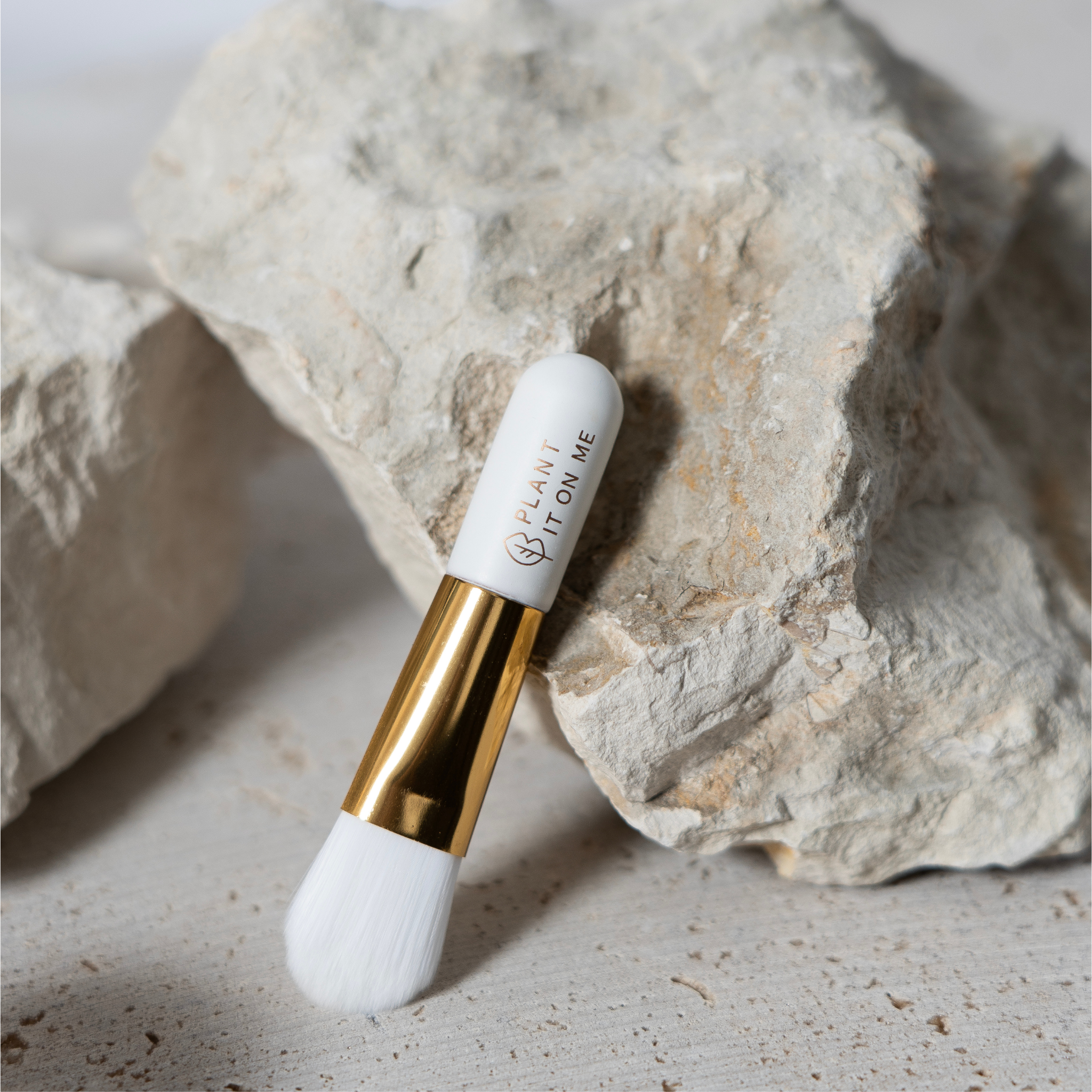 Mini Face Mask Brush applicator
